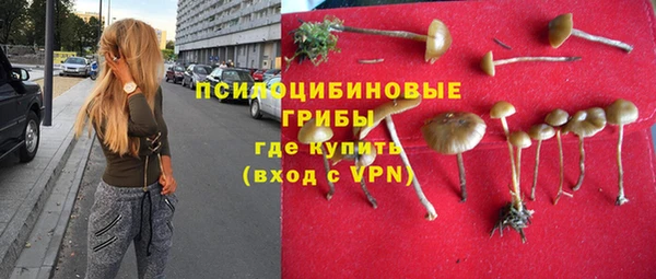 сатива Абдулино