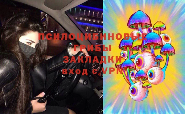 сатива Абдулино