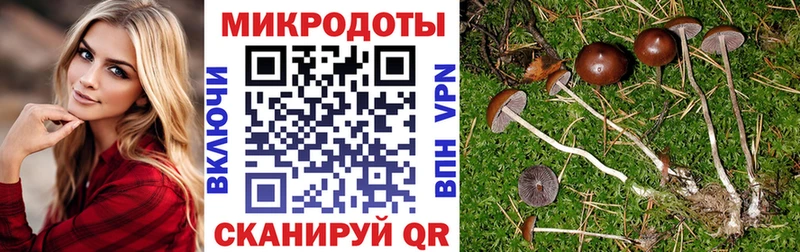МЕГА онион Дальнереченск Псилоцибиновые грибы мицелий